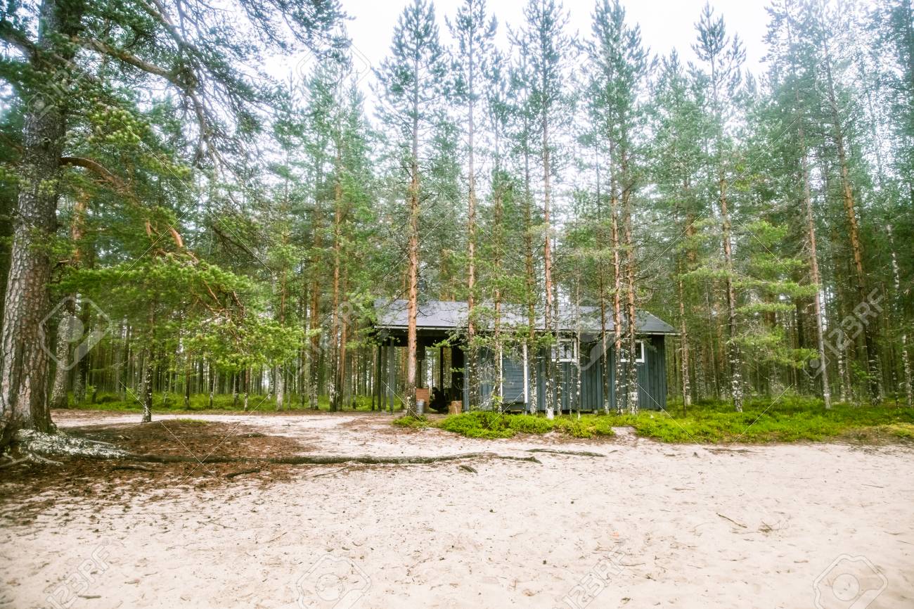 フィンランドの森の中の美しい小さな木造の建物