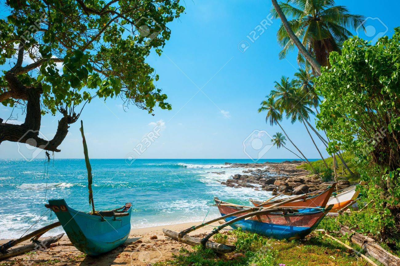 Untouched tropical beach with palms and fishing boats in Sri-Lanka - 14920626 Untouched tropical beach with palms and fishing boats in Sri-Lanka - 14920626