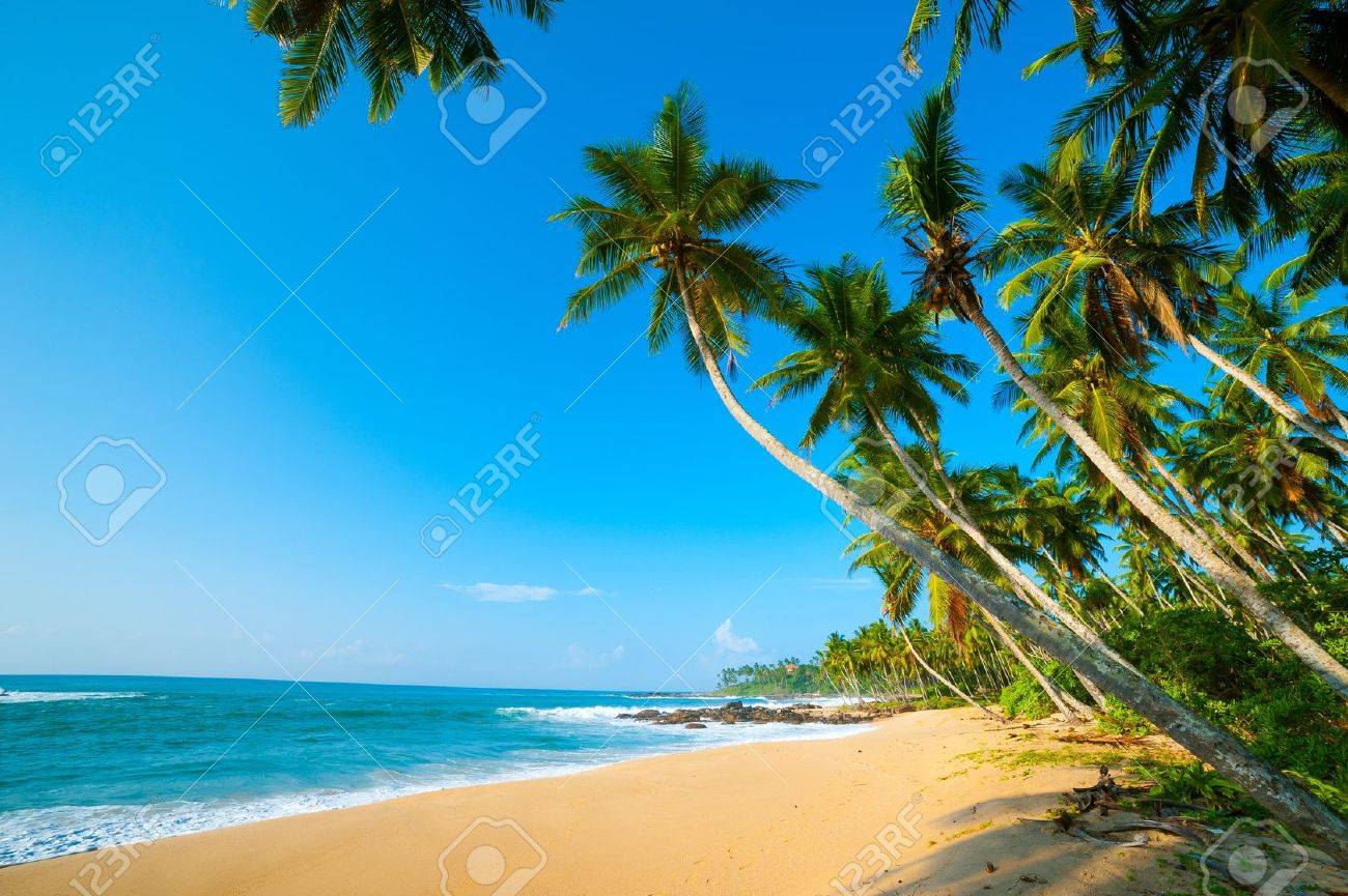 Untouched tropical beach in Sri Lanka - 15053670 Untouched tropical beach in Sri Lanka - 15053670