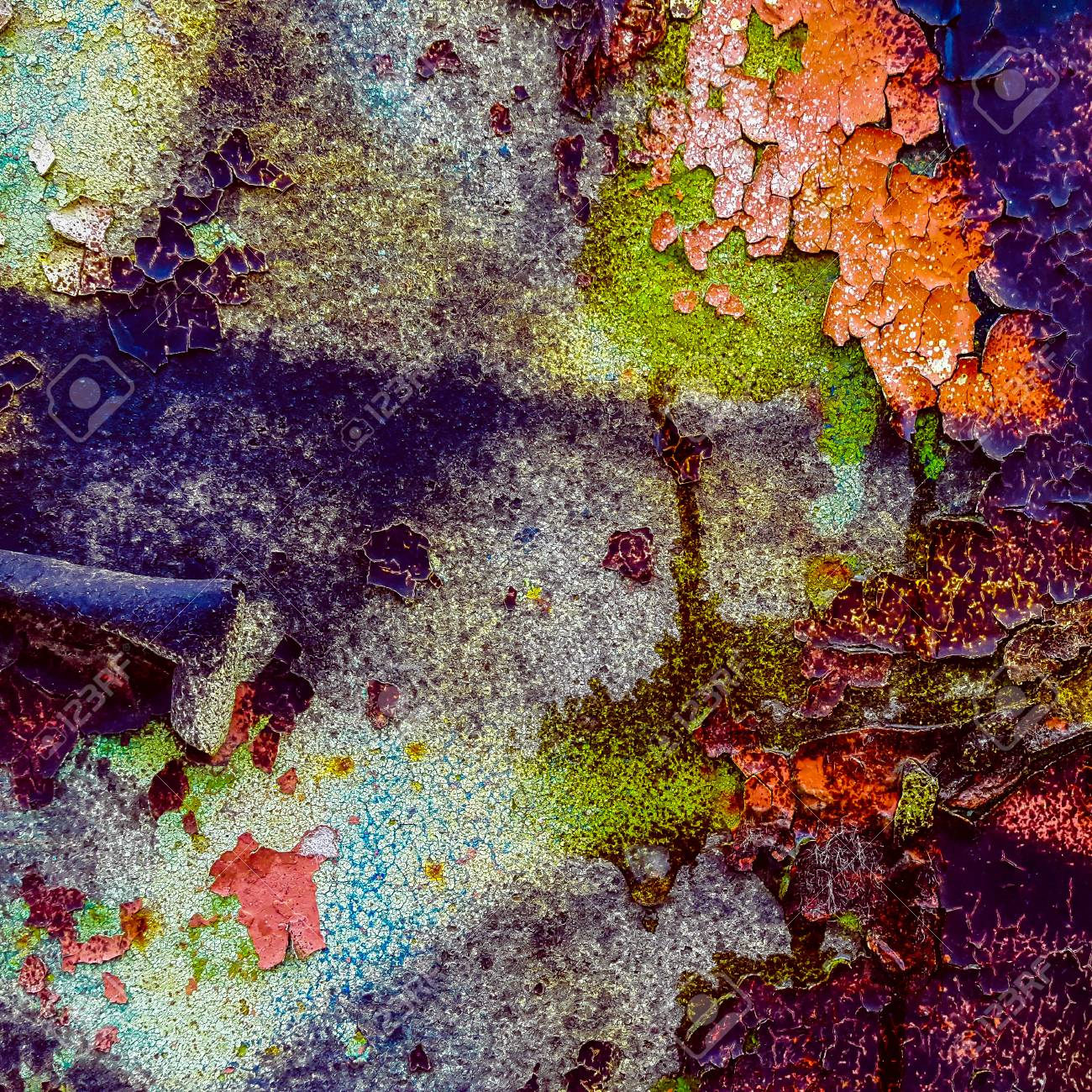 etiam-dictum-ipsum-a-felis