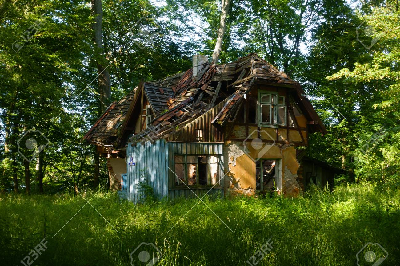 森の中の壊れた廃屋 の写真素材 画像素材 Image