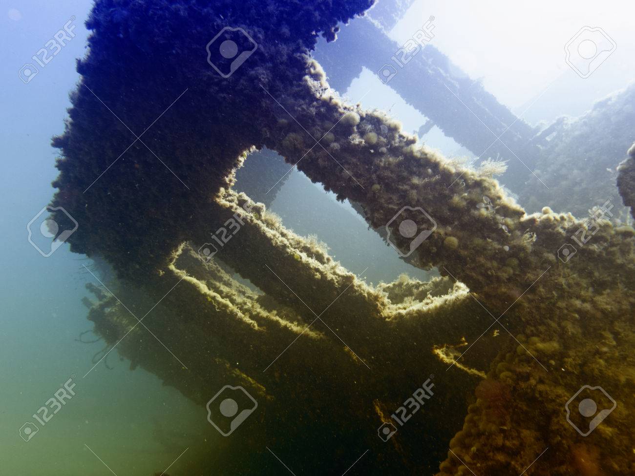 etiam-dictum-ipsum-a-felis