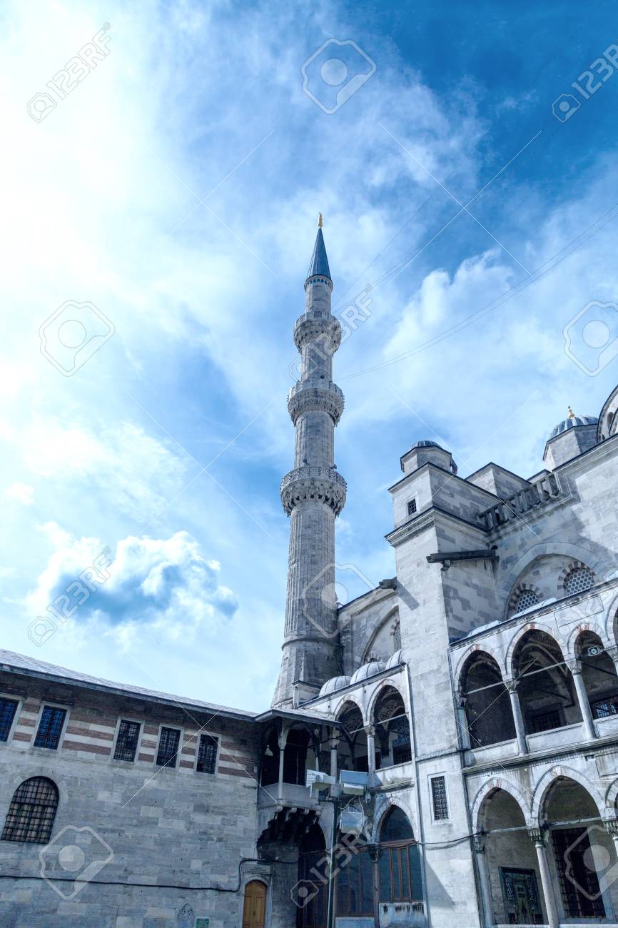 etiam-dictum-ipsum-a-felis