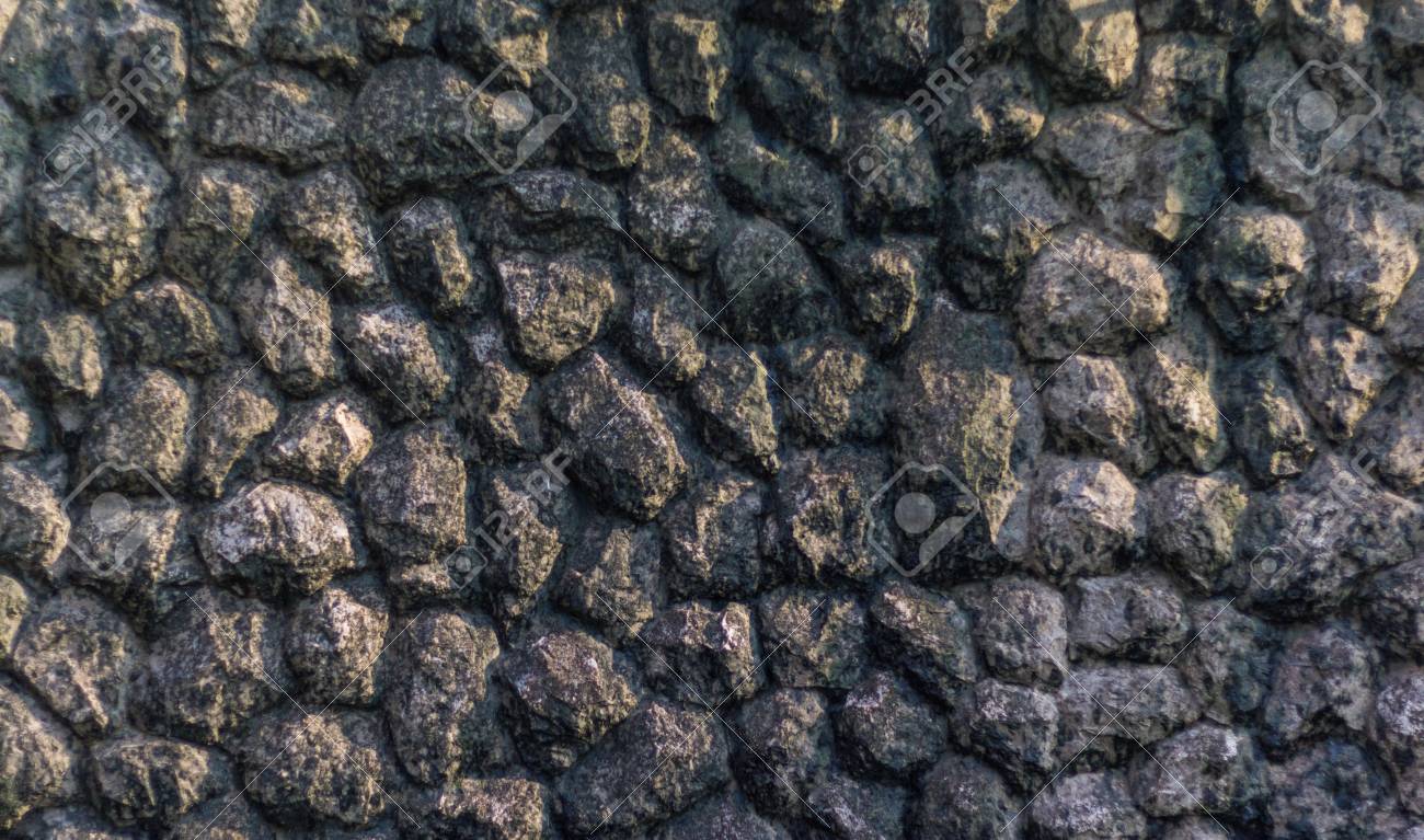 etiam-dictum-ipsum-a-felis