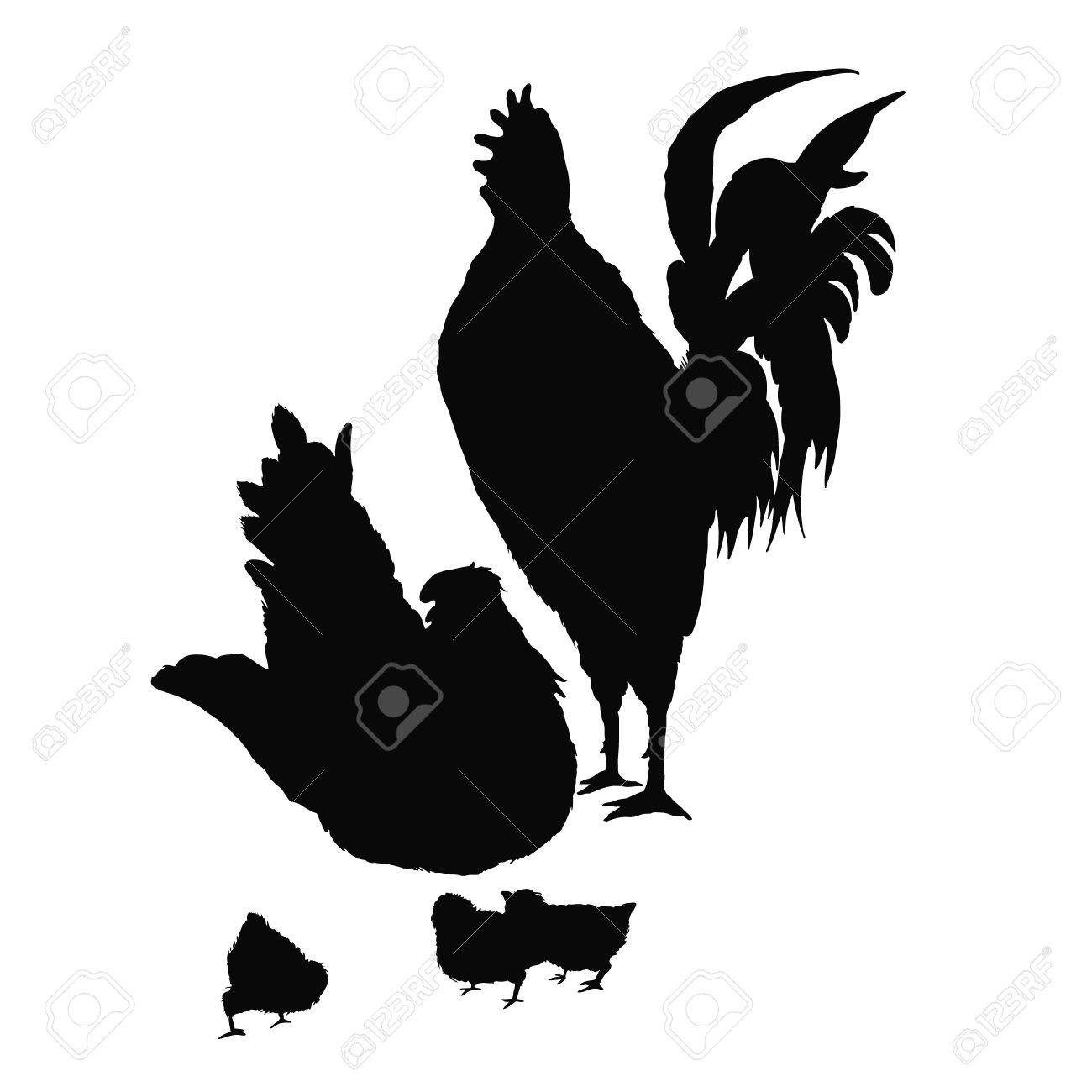 図鶏 鶏 鶏 農場の動物のシリーズ シルエット手描きの鳥の家族 鶏戦闘機やいじめ ひな鶏を守るために準備ができています ビンテージ彫刻スタイル の イラスト素材 ベクタ Image