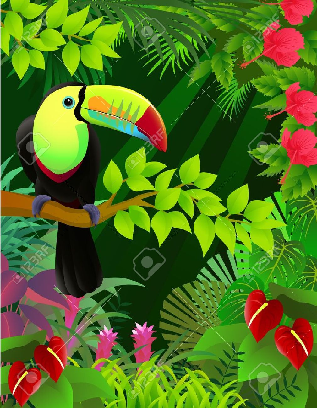 ジャングルの中でオオハシ鳥のイラスト素材・ベクター Image 9930250