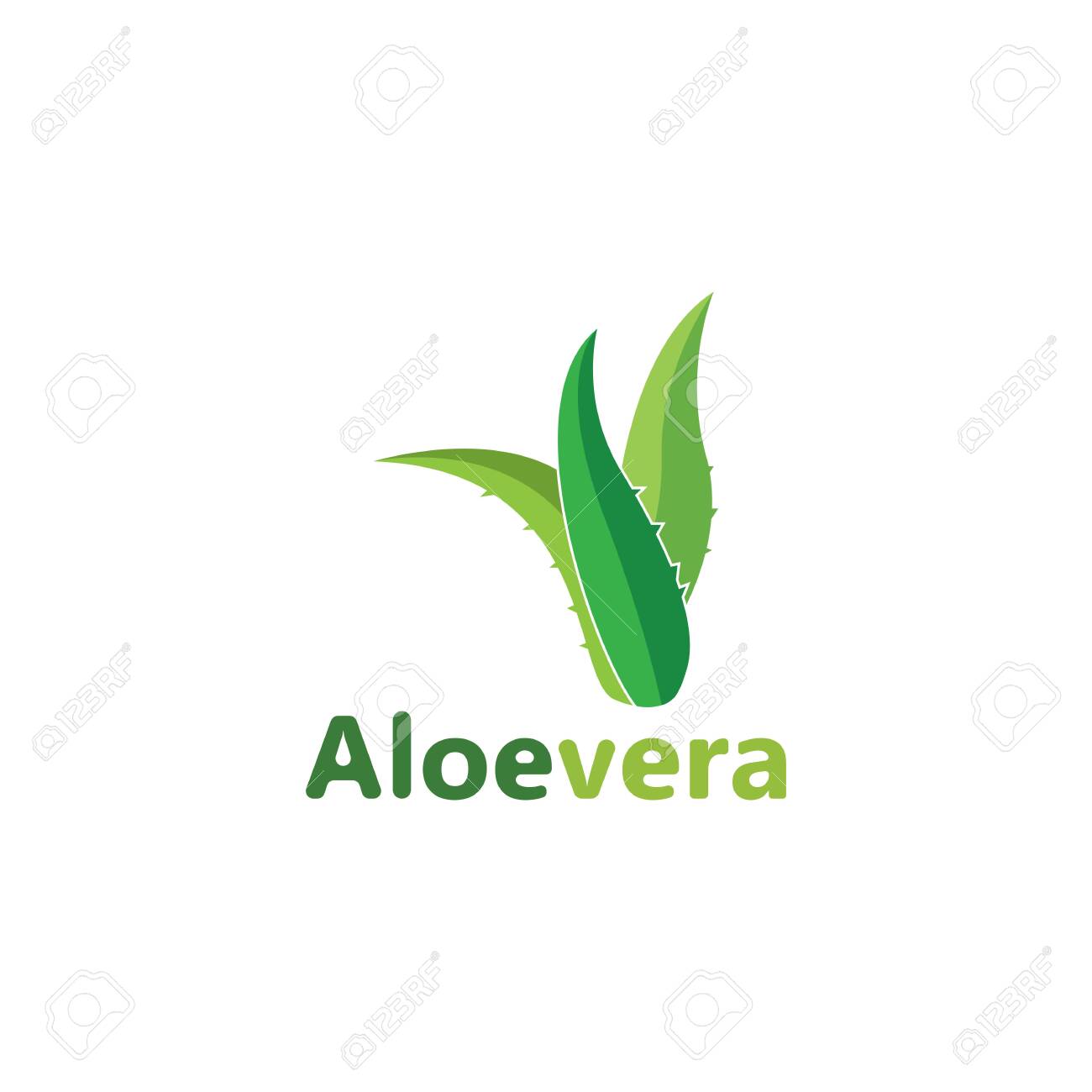 Aloe Vera Logo Vector Illustration Template Design Royalty Free Cliparts Vectors And Stock Illustration Image 134262369