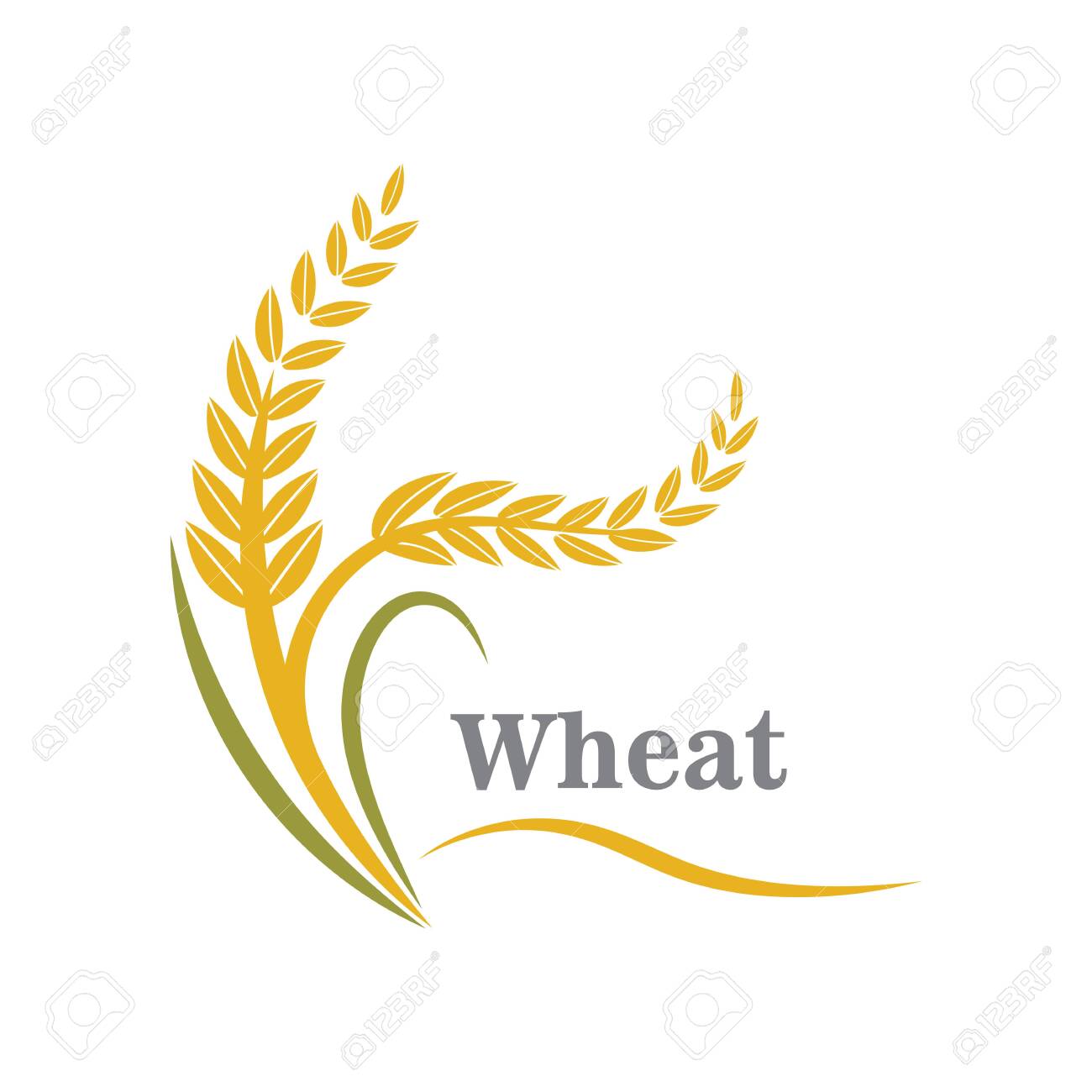 Agriculture wheat logo or symbol icon design illustration - 146115827 Agriculture wheat logo or symbol icon design illustration - 146115827