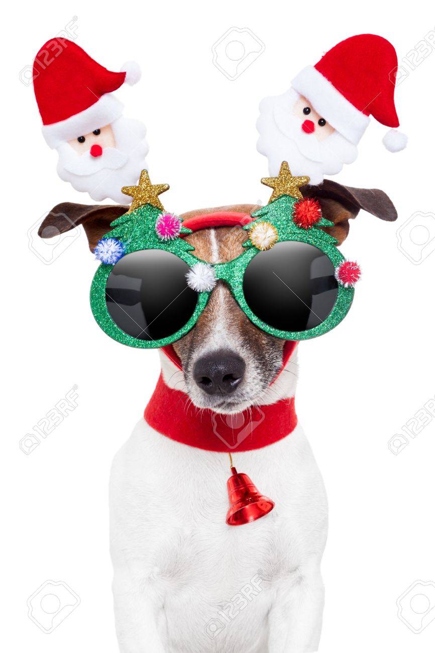 funko pop zoro roronoa