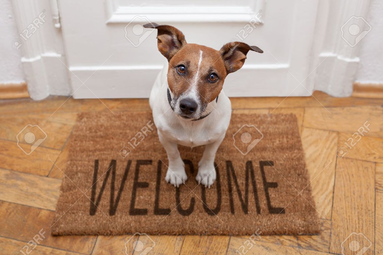 dog welcome mat