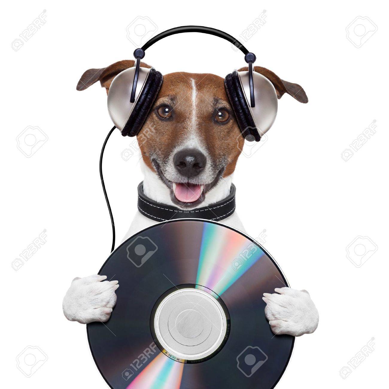 音楽ヘッドホン Cd 犬 の写真素材 画像素材 Image 1546