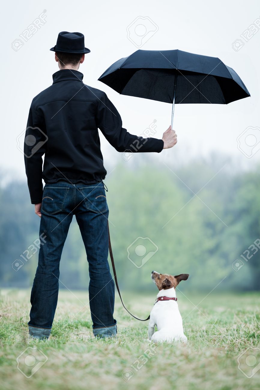 dog rain umbrella