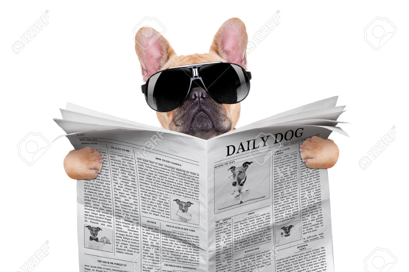Image result for reading the newspaper
