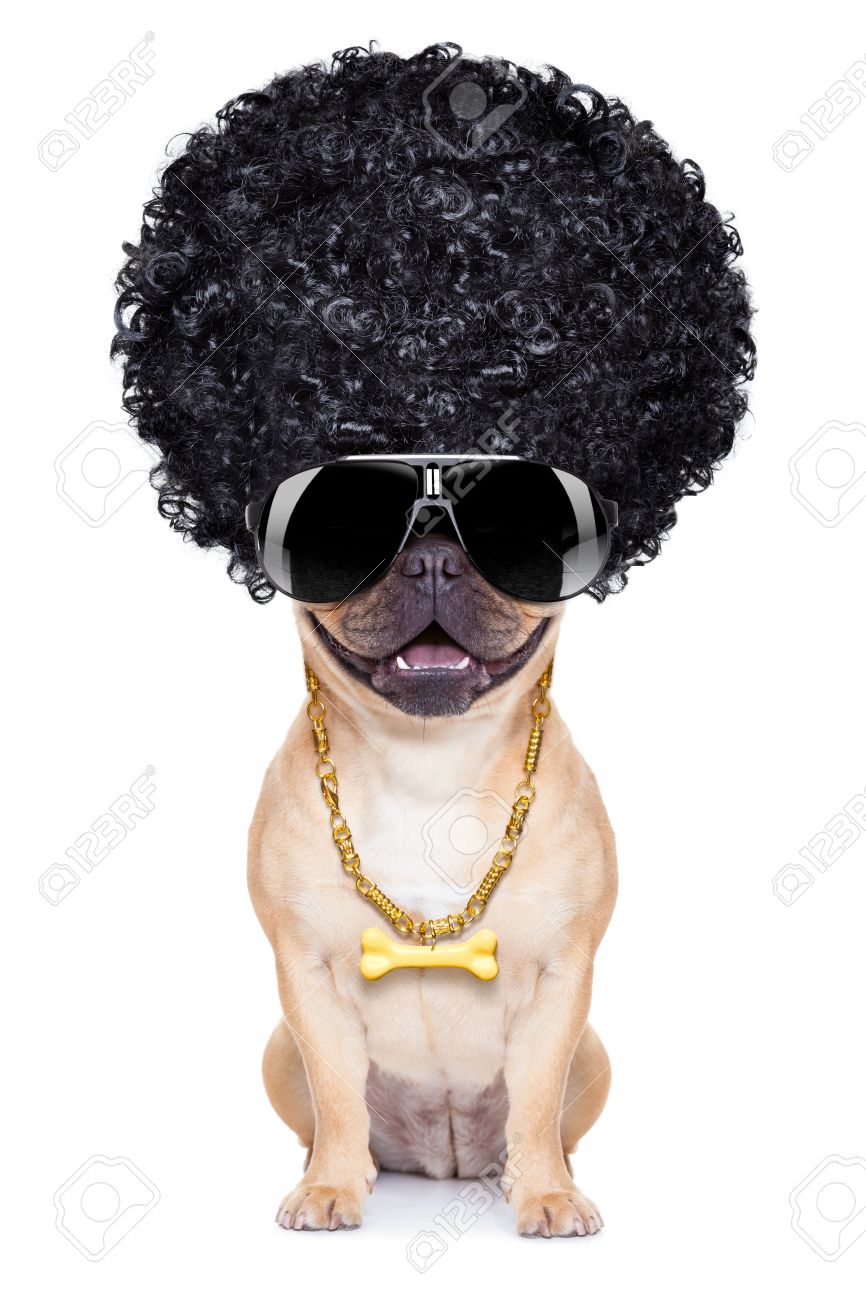 afro wig for dogs
