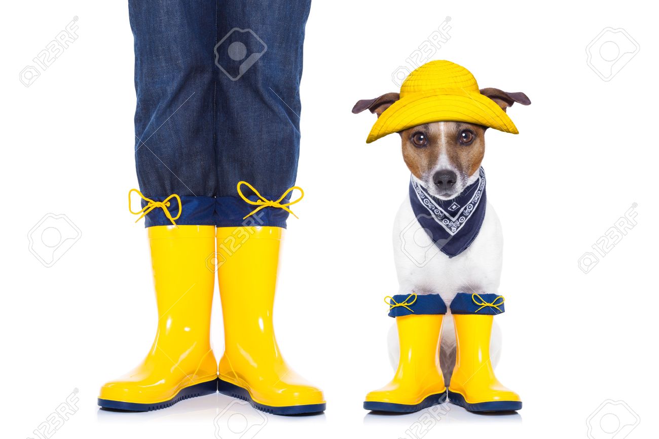 jack russell boots