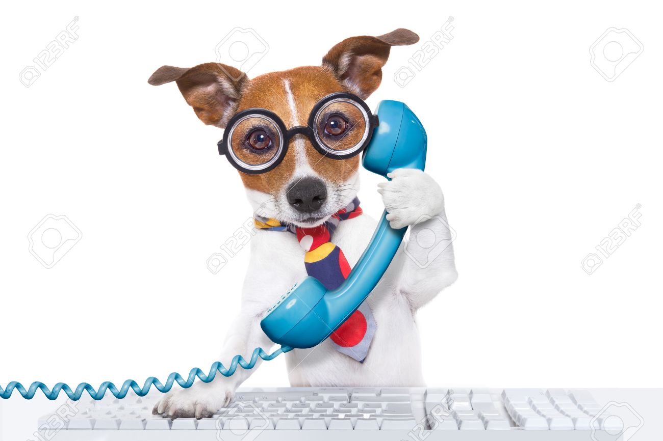Jack Russell Dog On A Call Center Using The Phone Or Telephone.. Stock Photo, Picture And Royalty Free Image. Image 39508846.