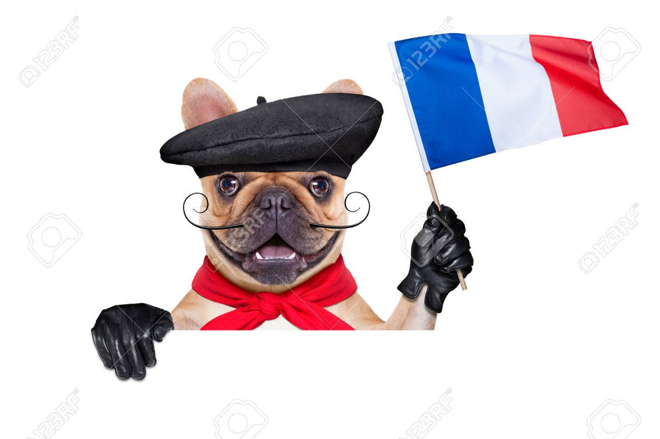 french bulldog with beret