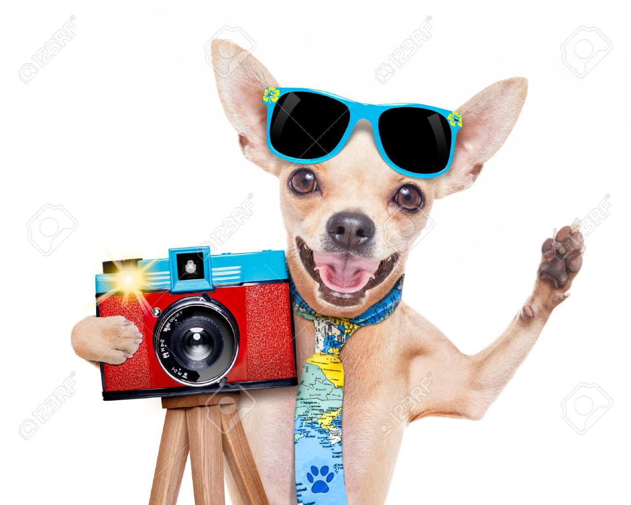 Loto de Février 2018 42737175-fra-che-photographe-touristique-chien-prenant-un-instantan-ou-une-image-avec-un-vieil-appareil-photo-Banque-d'images