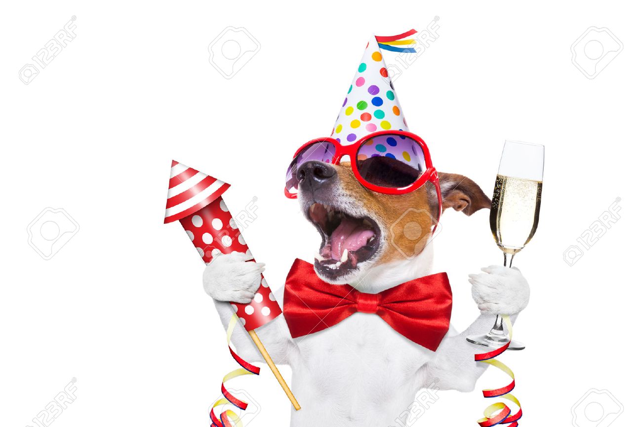 dog tie for fireworks