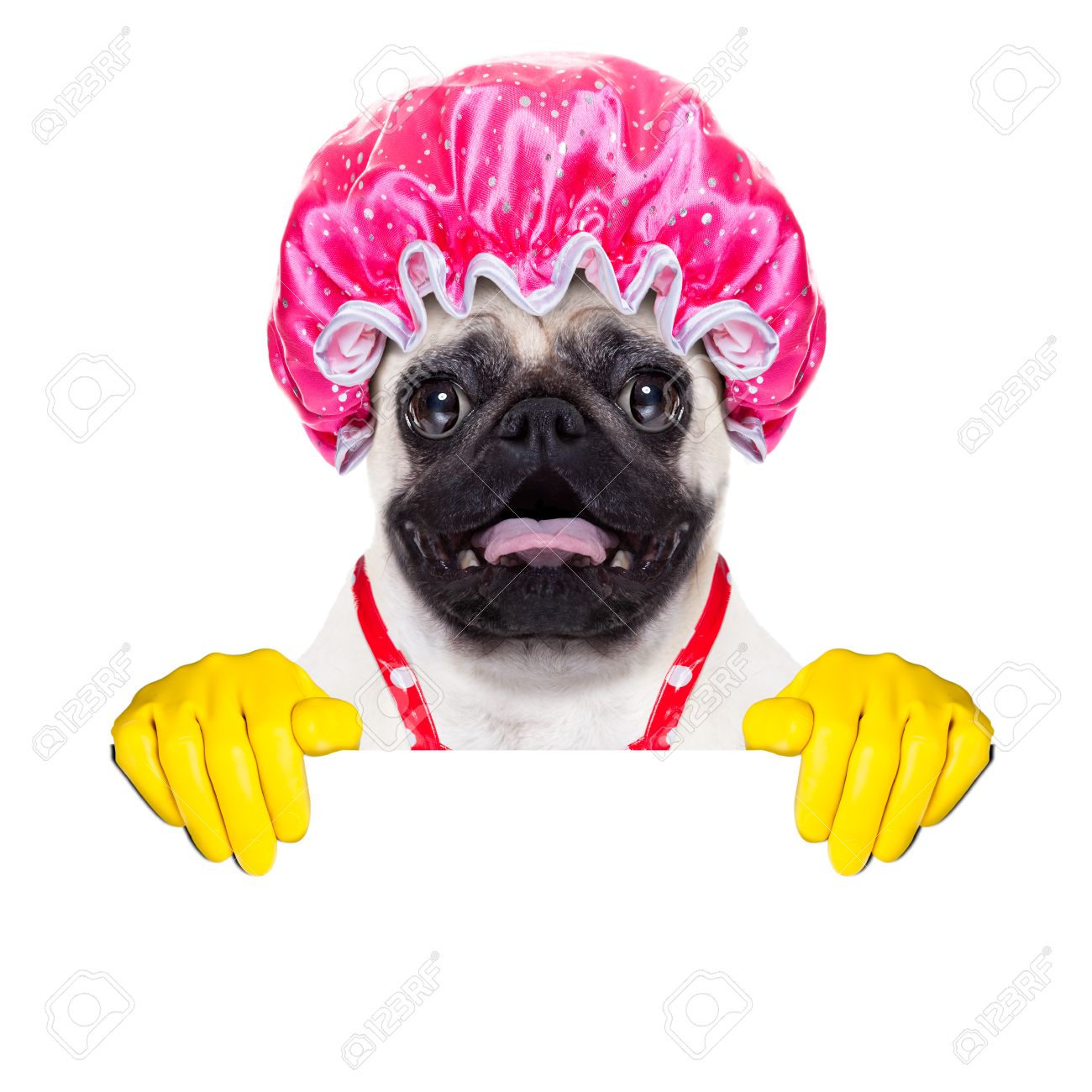 Shower Cap Dog Shower Cap Dog