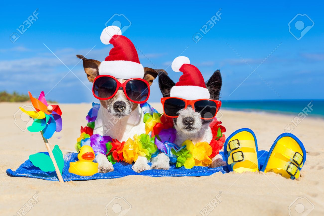 santa summer
