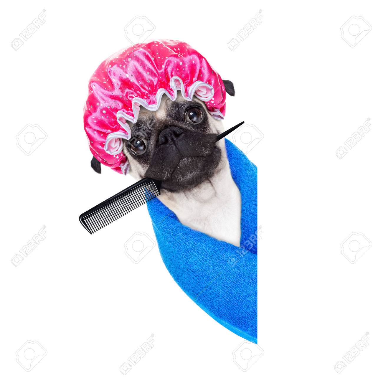 Shower Cap Dog Shower Cap Dog