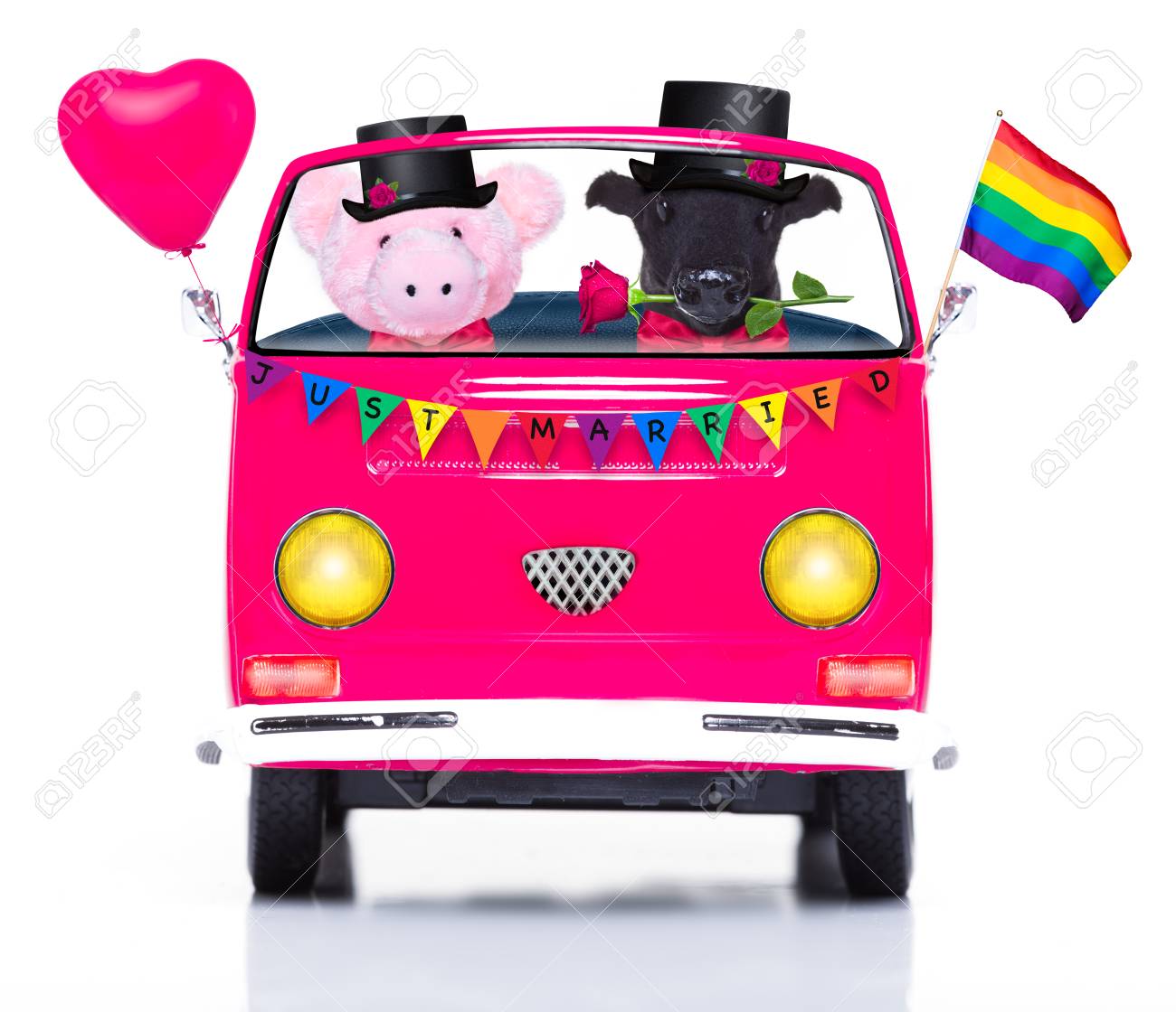 Couple Of Two Same Sex Animals Driving A Pink Car Or Van Just  