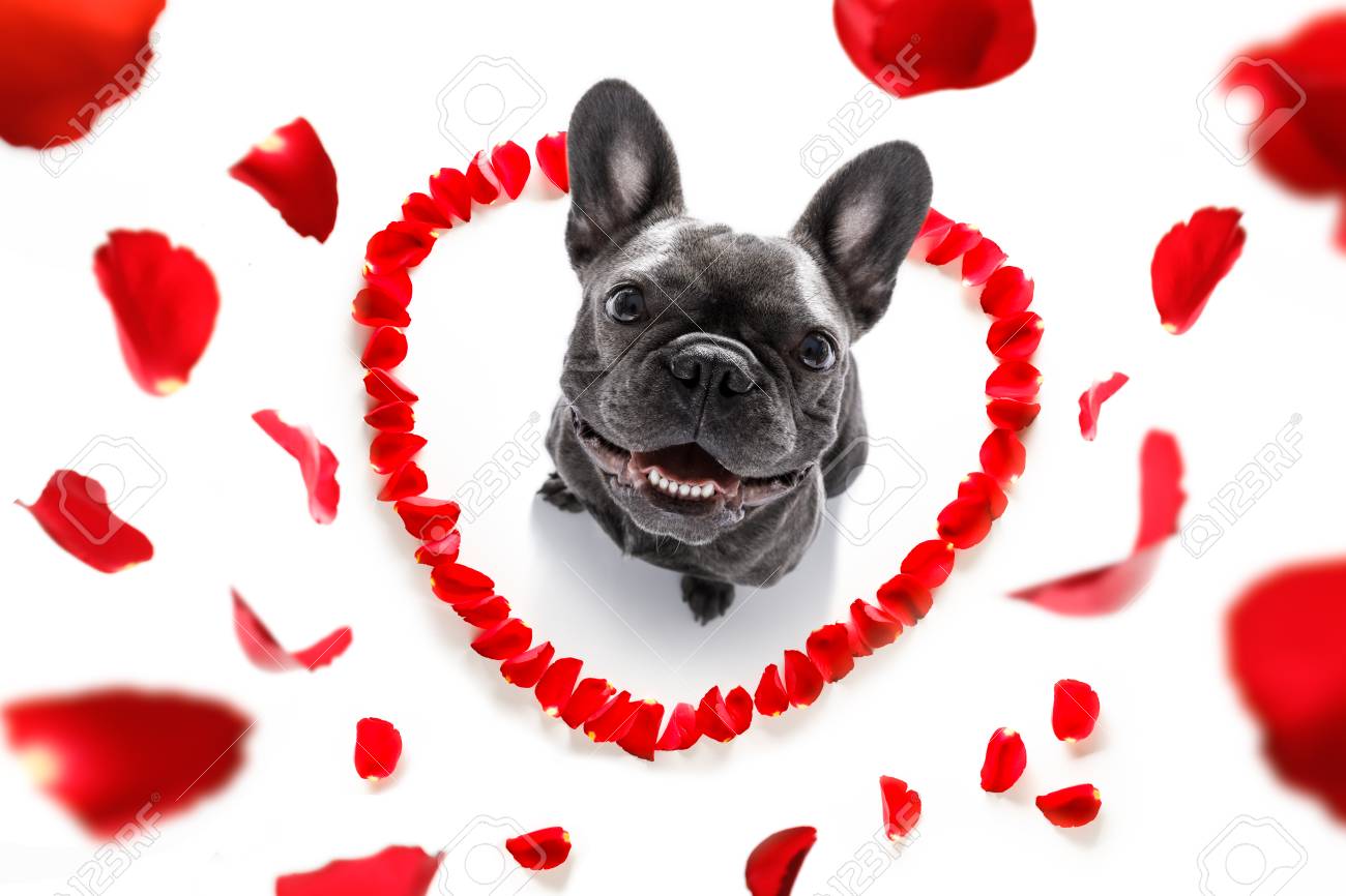 French Bulldog Dog Valentines Day Rose I Bolsas Y Estuches French Bulldog Dog Valentines Day Rose I Bolsas Y Estuches