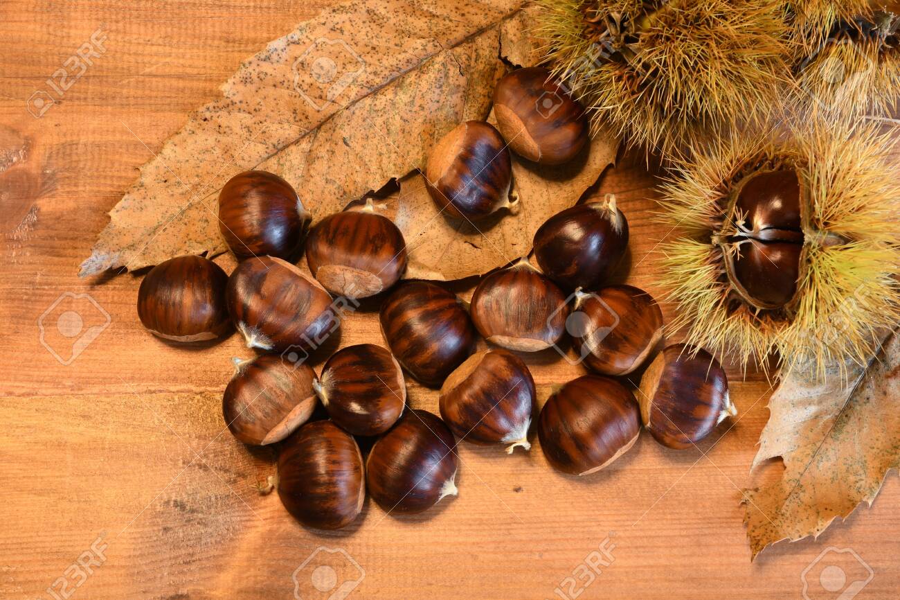 Closeup Of Chestnuts And Curly On Wooden Background With Chesnut Stock Photo Picture And Royalty Free Image Image