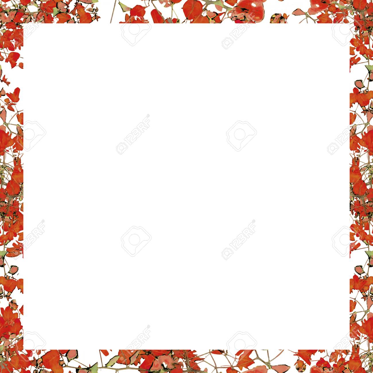 white background with decorated floral collage design borders stock photo picture and royalty free image image 57046296 123rf com