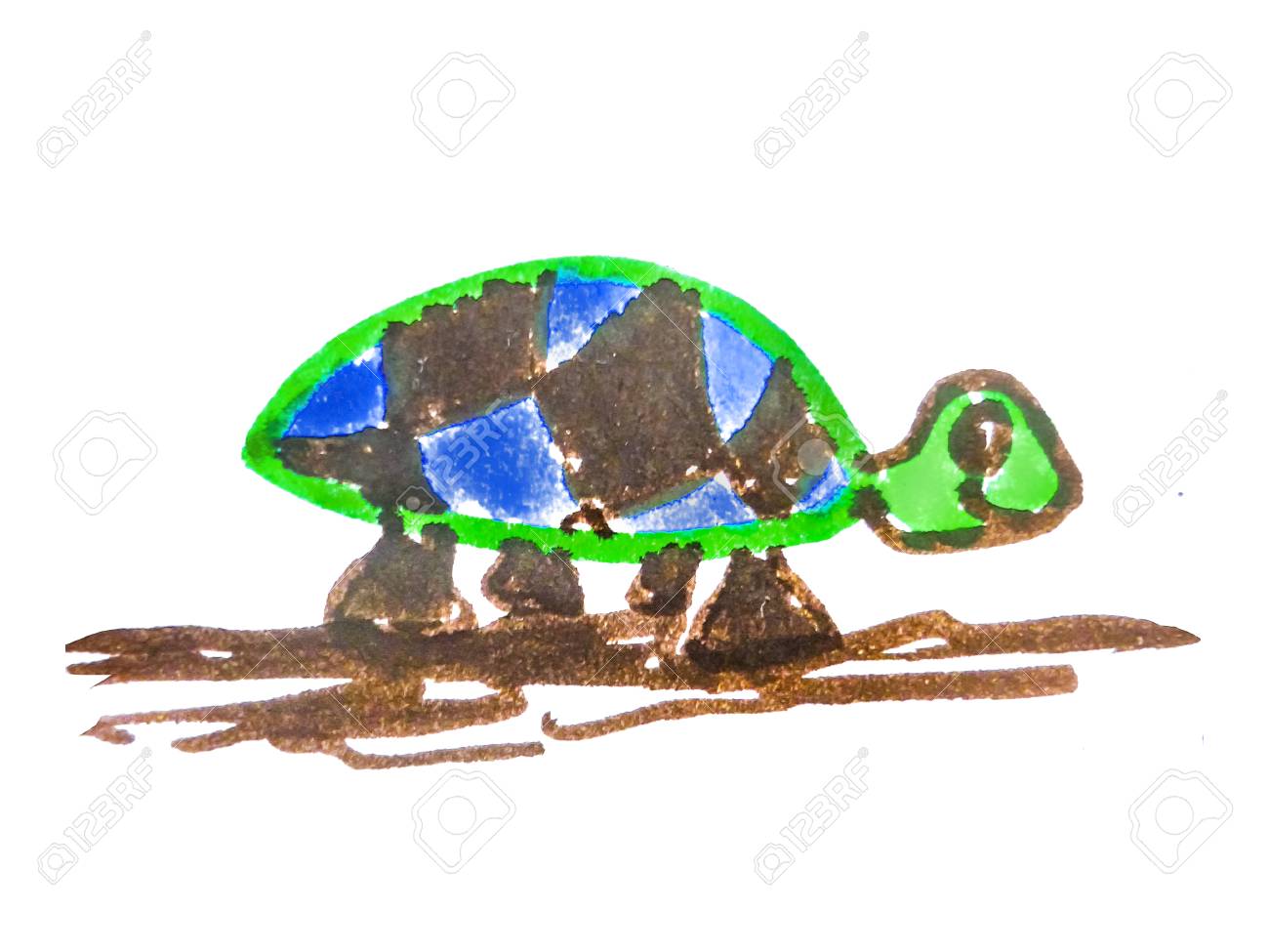 simple turtle drawing in vivid mixed colors isolated at white