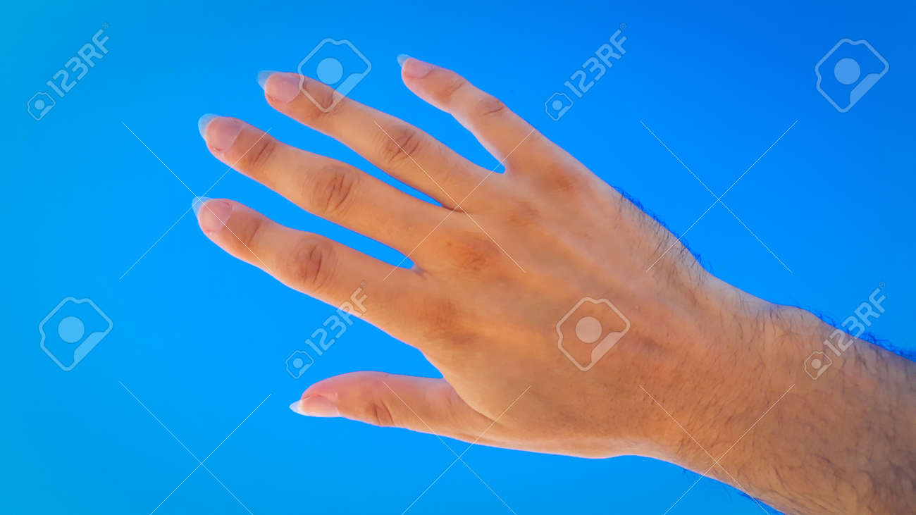 etiam-dictum-ipsum-a-felis