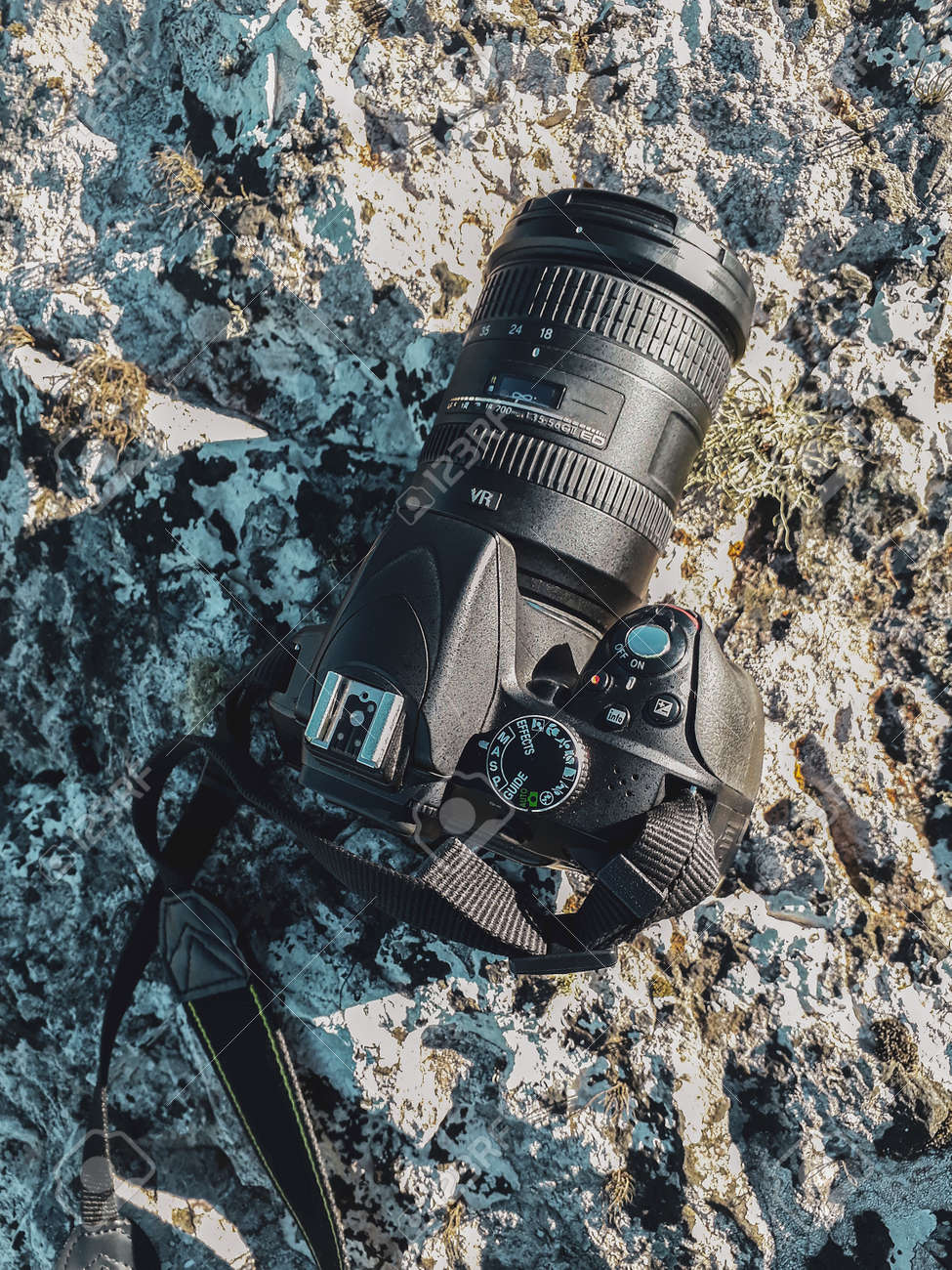 etiam-dictum-ipsum-a-felis