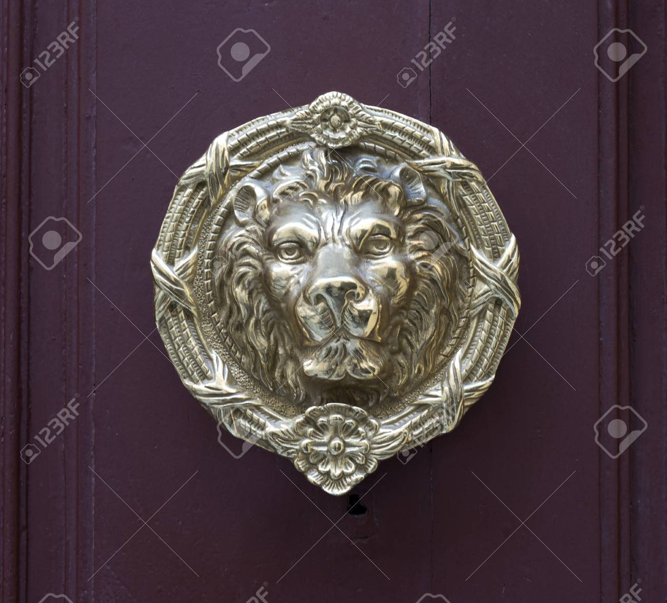 Cabeza Deleon Aldaba Tiradores con Tornillos Cabeza Leon Aldaba para Armario Pomo Puerta Joyero Anillo Caj/ón Perillas Cabeza Leon Tirador Puerta Armario 8 Piezas Manija Perilla Cabeza Le/ón