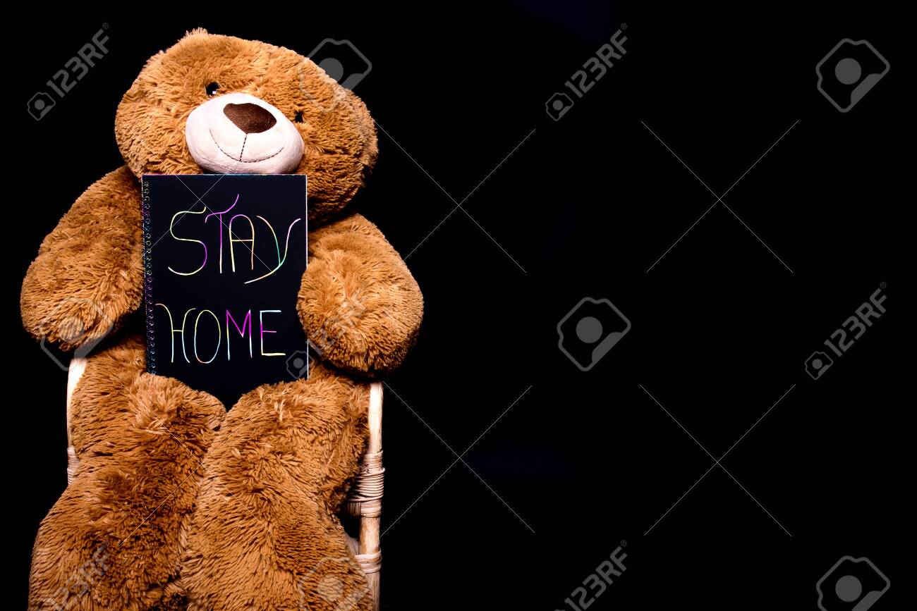 big fluffy teddy