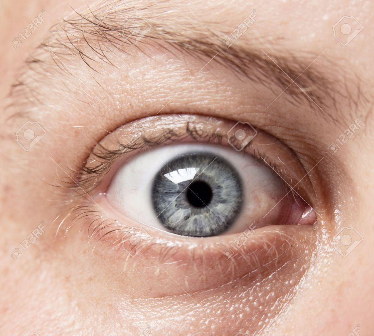 虹彩の複雑な細部を示す 白人男性の青い目のクローズ アップ の写真素材 画像素材 Image 7833026