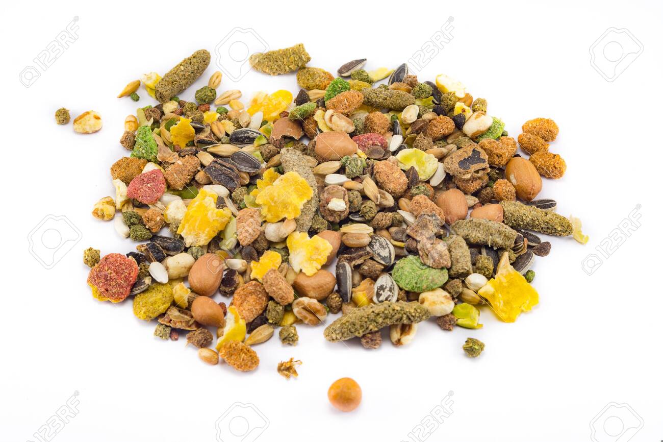 a variety of nutritious, balanced granulated food for rodents isolated on white background - 138134416 a variety of nutritious, balanced granulated food for rodents isolated on white background - 138134416