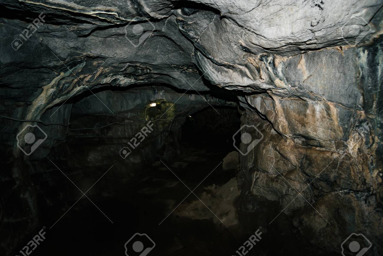 洞窟のなかの心 洞窟のなかの心 | デヴィッド・ルイス=ウィリアムズ, 港 千尋
