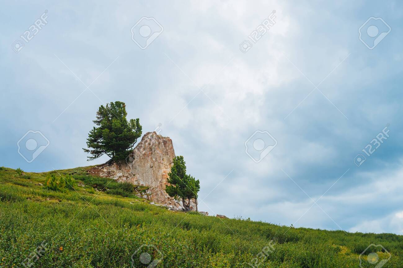 Landscape with big rocky stone on hill in highland under cloudy sky. Rock on mountainside with coniferous trees and rich vegetation. Wonderful scenic mountainscape. Amazing mountain scenery. - 122479100 Landscape with big rocky stone on hill in highland under cloudy sky. Rock on mountainside with coniferous trees and rich vegetation. Wonderful scenic mountainscape. Amazing mountain scenery. - 122479100