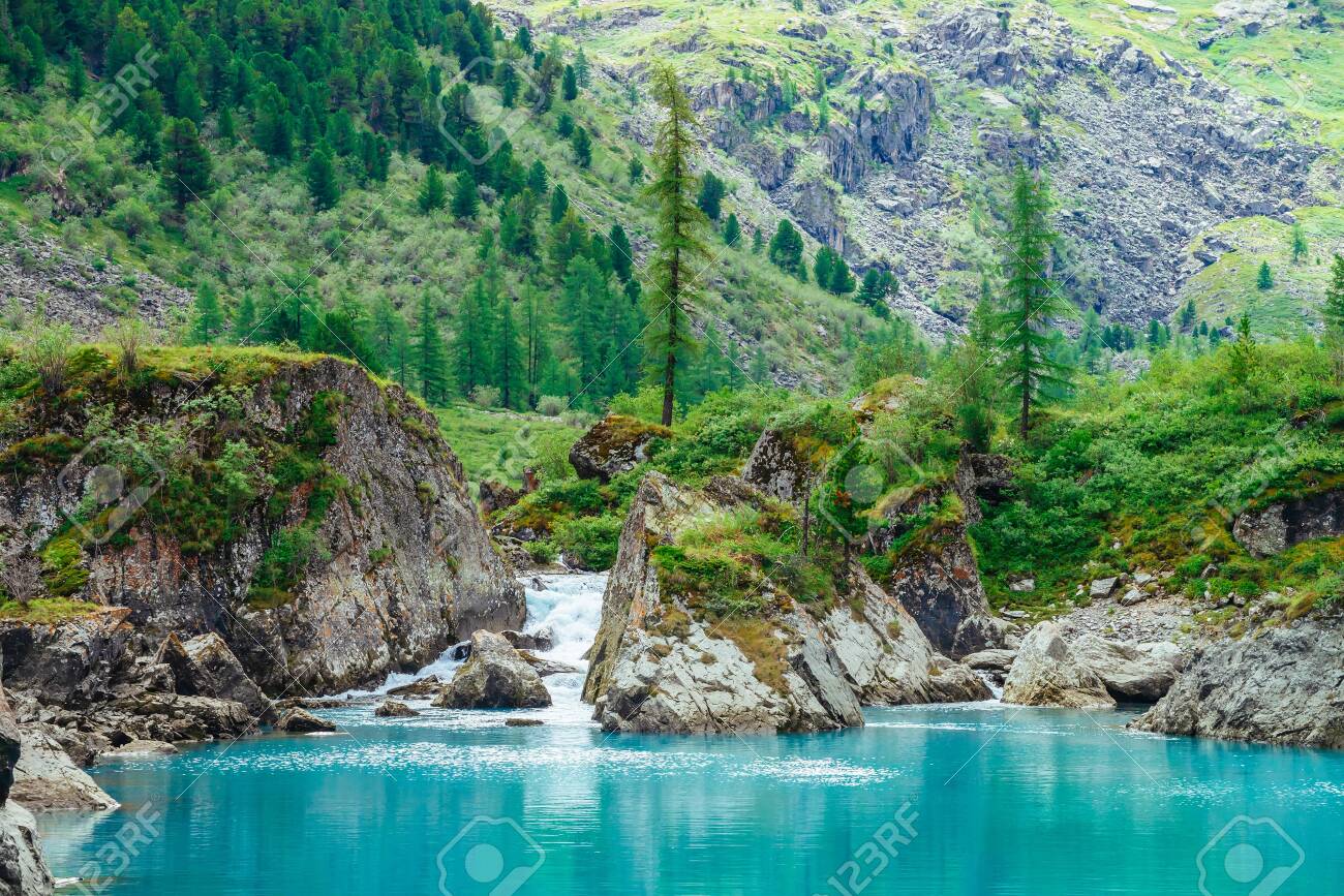Mountain creek flows into azure lake. Fast stream of brook. Smooth water surface. Wonderful rocks with rich vegetation of highlands. Beautiful conifer trees. Amazing landscape of majestic nature. - 122481707 Mountain creek flows into azure lake. Fast stream of brook. Smooth water surface. Wonderful rocks with rich vegetation of highlands. Beautiful conifer trees. Amazing landscape of majestic nature. - 122481707