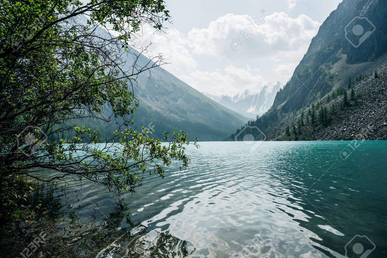 Amazing view through trees to snow mountains and meditative ripples on azure clear calm water of mountain lake. Atmospheric mountain landscape with turquoise alpine lake and glacier through thickets. - 170494601 Amazing view through trees to snow mountains and meditative ripples on azure clear calm water of mountain lake. Atmospheric mountain landscape with turquoise alpine lake and glacier through thickets. - 170494601
