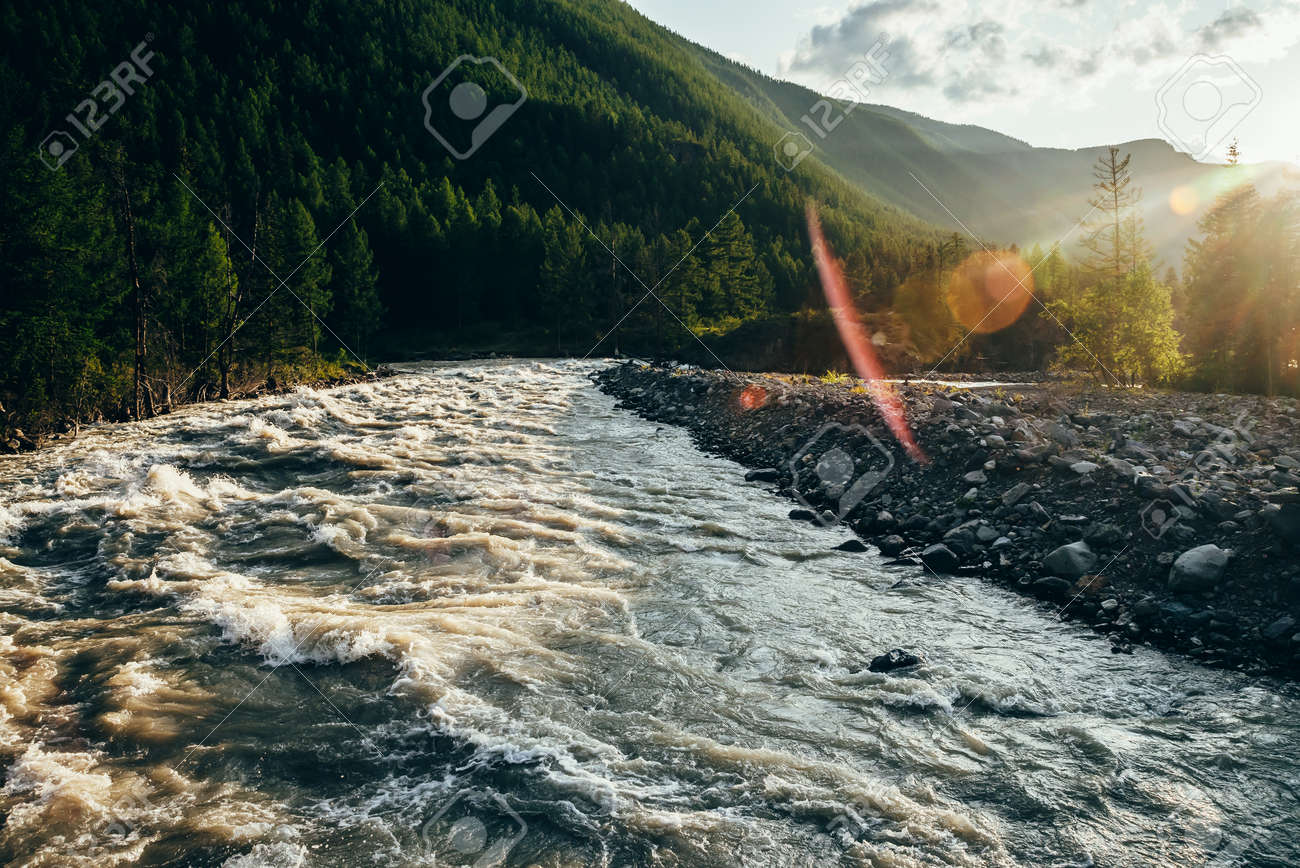 Beautiful view to powerful mountain river in golden light. Scenic landscape with mountain river along forest in sunbeams. Picturesque sunny scenery with gold rapids on fast river with stony shore. - 170495249 Beautiful view to powerful mountain river in golden light. Scenic landscape with mountain river along forest in sunbeams. Picturesque sunny scenery with gold rapids on fast river with stony shore. - 170495249