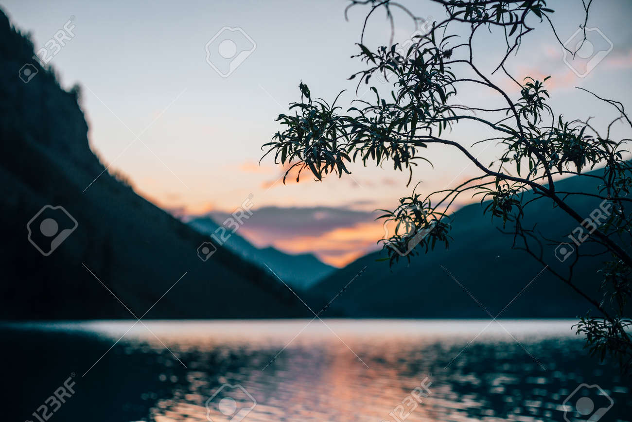 Beautiful silhouette of tree branches on blurry background of alpine lake at dawn. Vivid calm water of mountain lake in sunrise colors in blur. Amazing scenery with colorful water in sunny morning. - 170494581 Beautiful silhouette of tree branches on blurry background of alpine lake at dawn. Vivid calm water of mountain lake in sunrise colors in blur. Amazing scenery with colorful water in sunny morning. - 170494581