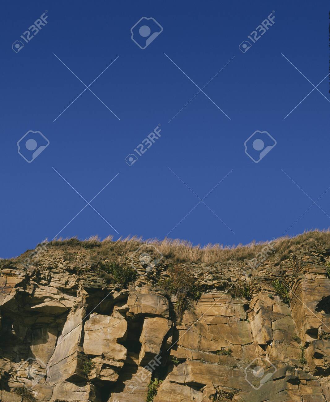 etiam-dictum-ipsum-a-felis