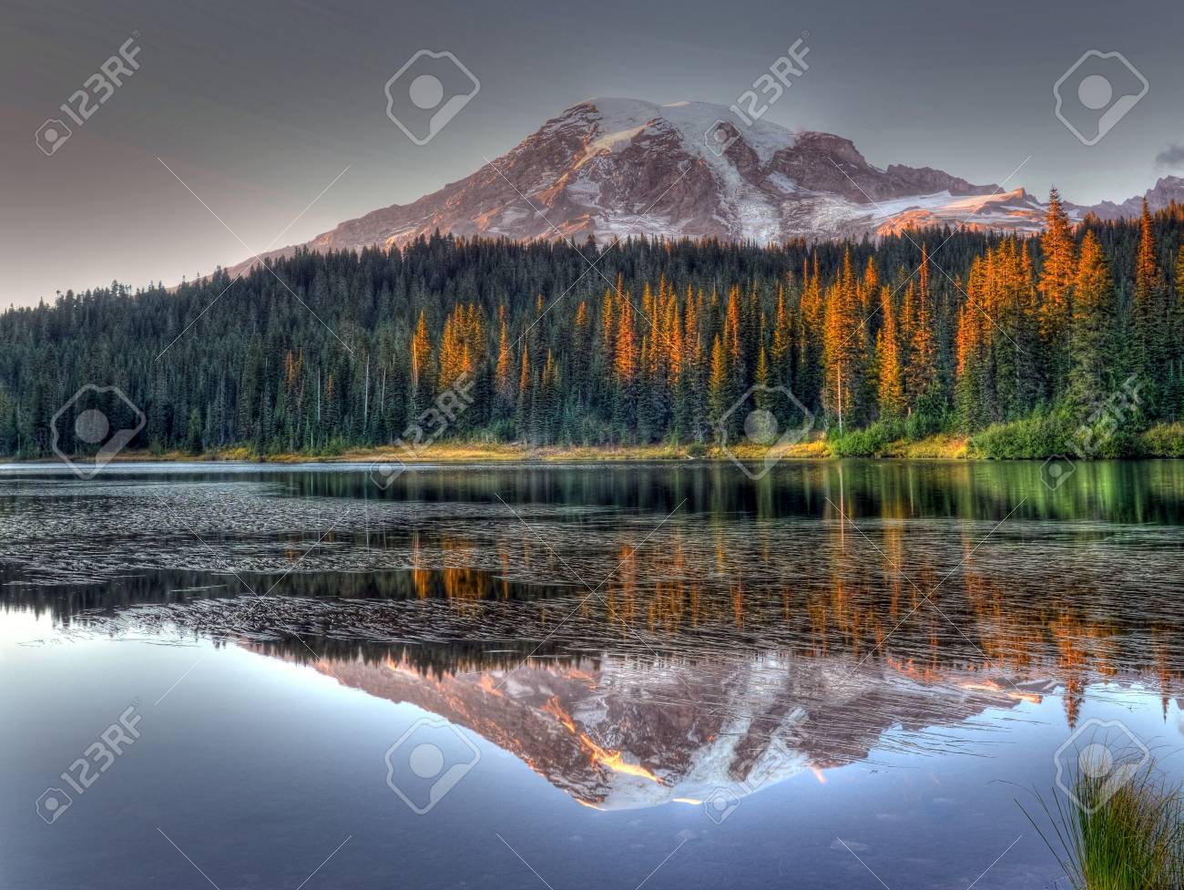 マウント レーニア山ワシントン州 リフレクション湖 の写真素材 画像素材 Image