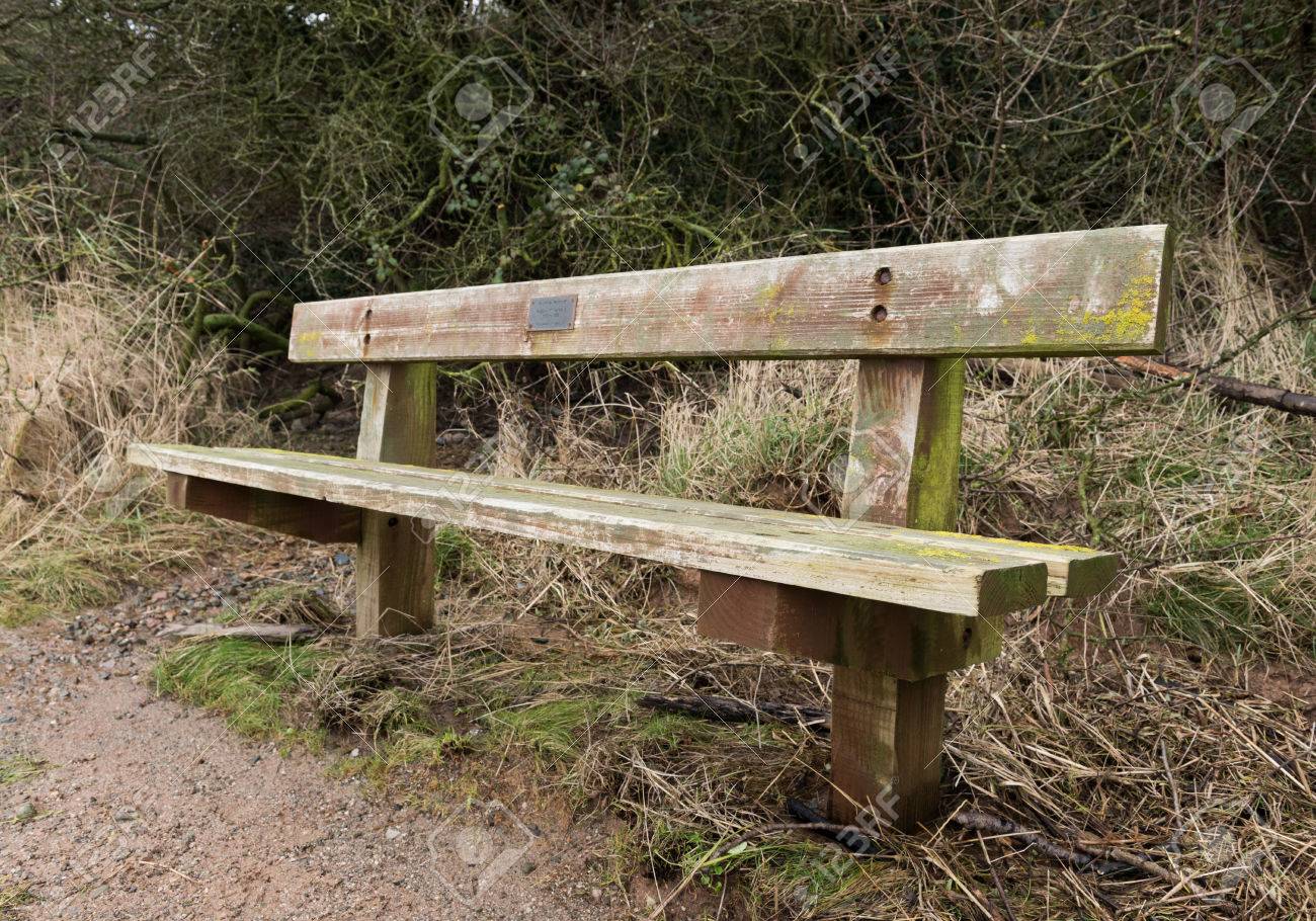 distressed wood bench back old weathered distressed wooden bench with earthy colours stock photo 52473231 old weathered distressed wooden bench with earthy colours distressed wood bench back old weathered distressed wooden bench with earthy colours stock photo 52473231 old weathered distressed wooden bench with earthy colours