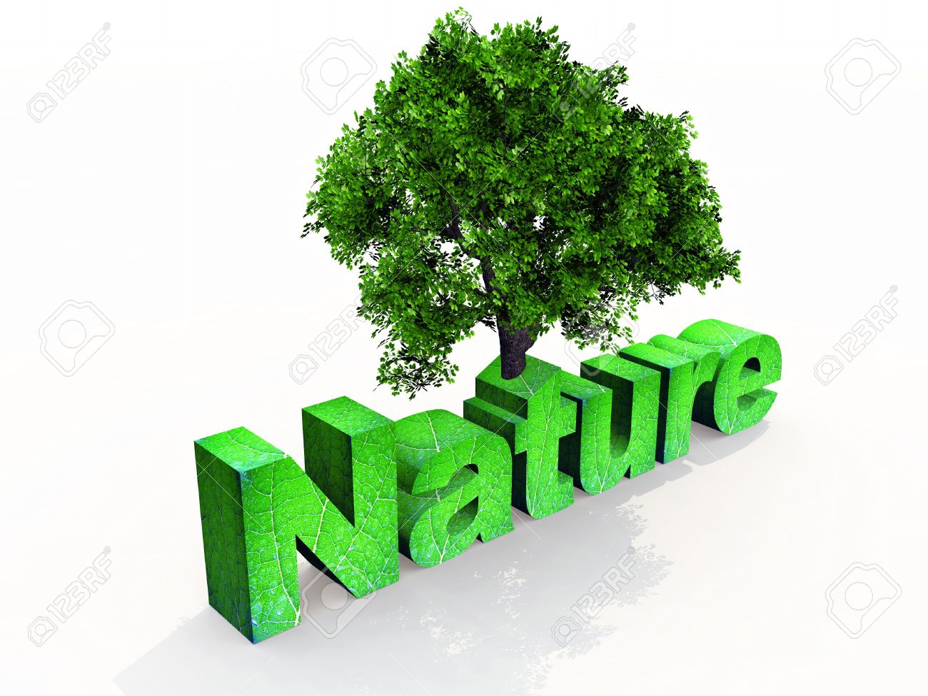 The Word Nature In 3d Letters Stock Photo, Picture And Royalty ...