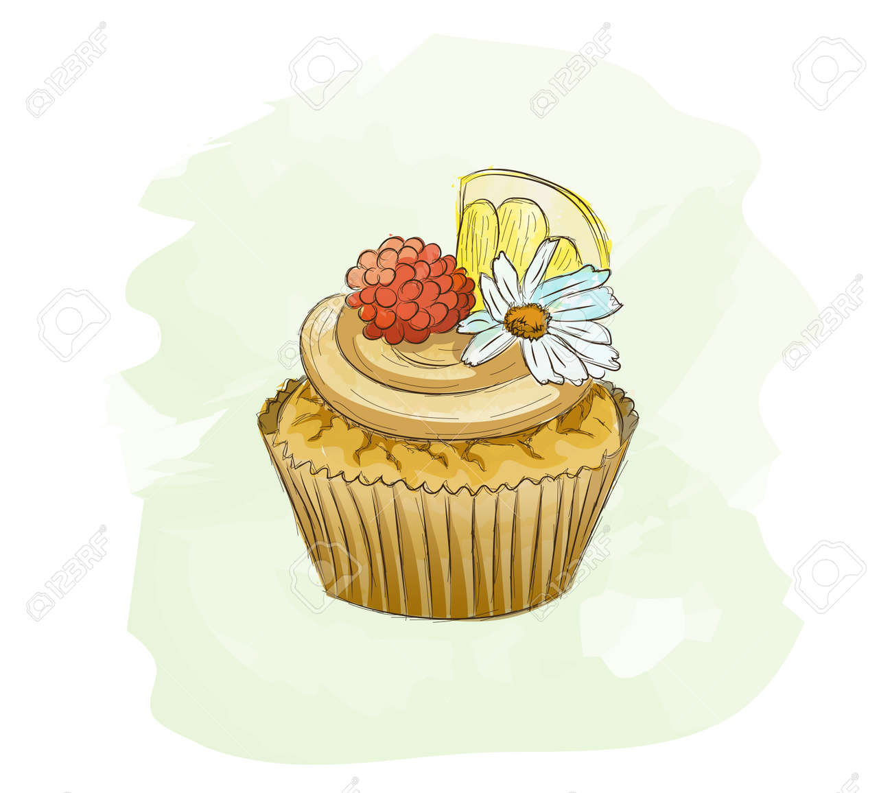 Delicious Watercolor Cupcake With Lemon, Raspberry And A Daisy. Tender And  Soft Picture Can Be Good For A Logo, Company Style, Bakery Visit Card,  Pastry Web Site, Culinary Video, Recipe Or Menu