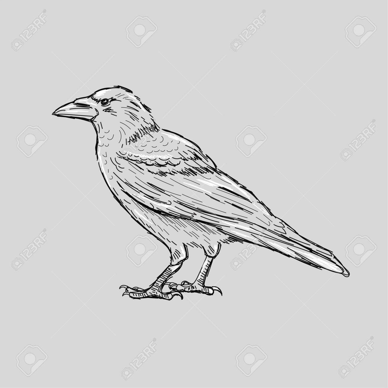 Black and White Crow Tattoo Design