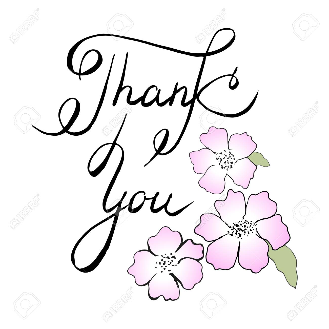 Carte De Remerciement Dessinee A La Main Citation De Lettrage Fait A La Main Merci Isole Sur Blanc Modele De Calligraphie De Carte De Voeux Clip Art Libres De Droits Svg